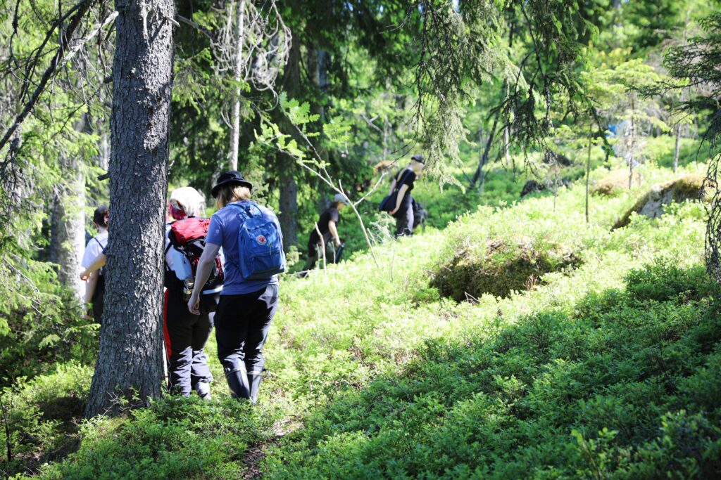 Nuoria metsäleirillä Nuuksiossa. Kuva Luontoliitto.